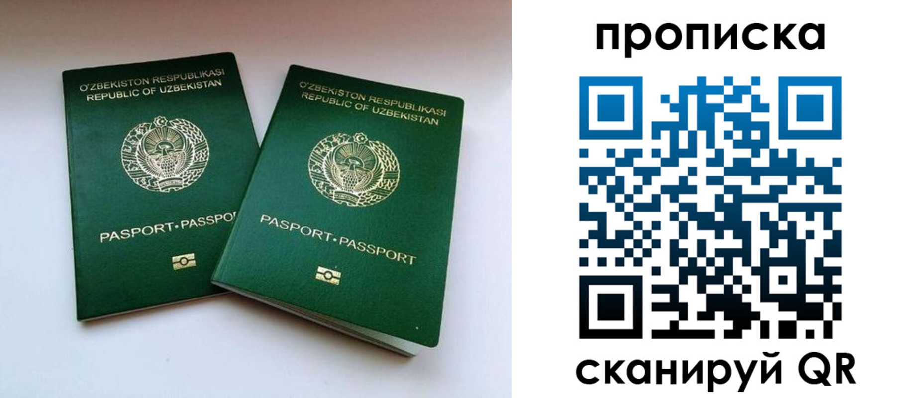прописка поиск в Нефтекумске